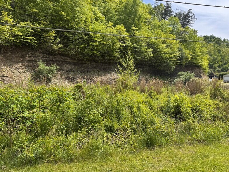Primary Photo Of KY Rte 40 and Rte 580 Oil Springs, Oil Springs Land For Sale
