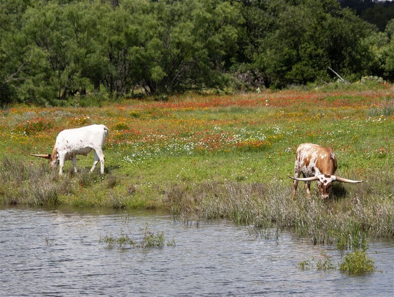 More Photos Of 6110 TX-29, Burnet Land For Sale