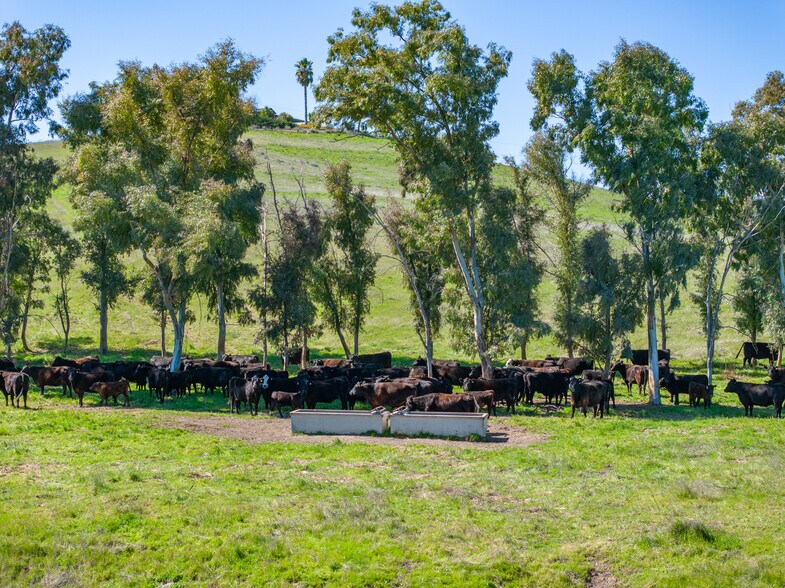 More Photos Of 2500 E Highway 41, Shandon Land For Sale