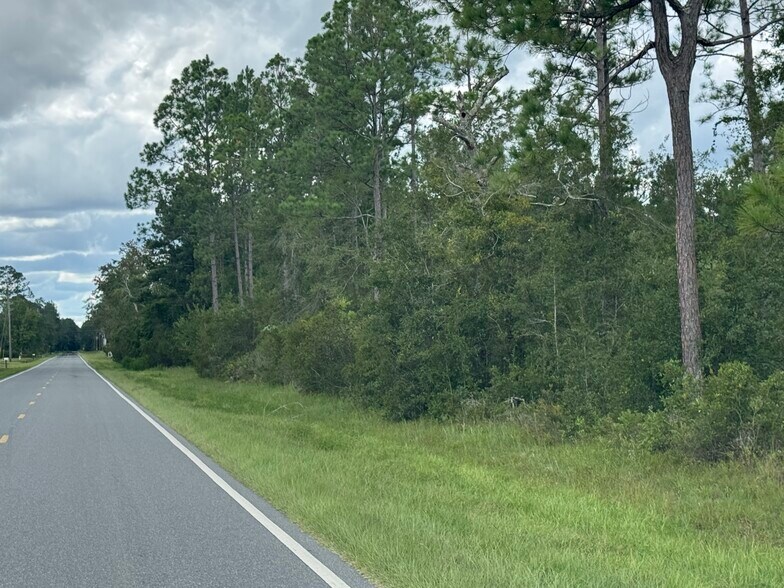 More Photos Of Noah Raulerson Road, Sanderson Land For Sale