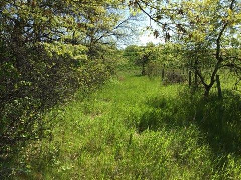 More Photos Of Xxx County Road 24 & 63rd Ave, Cannon Falls Land For Sale