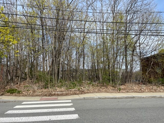 More Photos Of 67 Crescent, Waltham Land For Sale