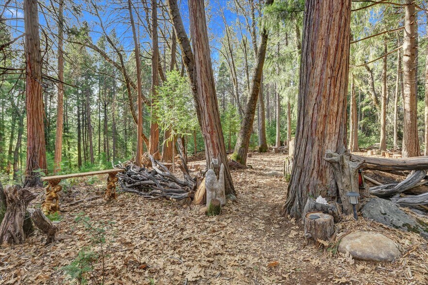 More Photos Of 14724 N Bloomfield Rd, Nevada City Flex For Sale