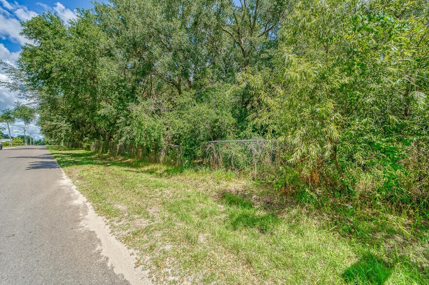 More Photos Of Turkey Creek Rd @ Reece Rd, Plant City Land For Sale