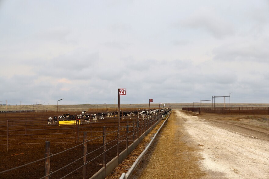 More Photos Of 11905 Co Rd 5, Merino Land For Sale