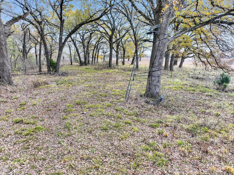 More Photos Of TBA Texas 24S, Klondike Land For Sale