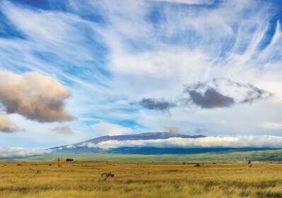 More Photos Of Ala Ohia Rd, Kamuela Land For Sale