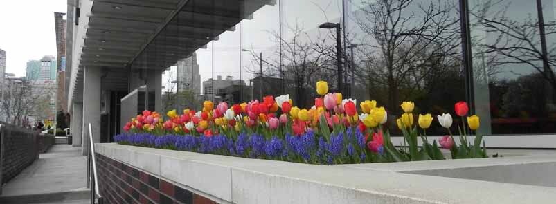 More Photos Of 300 Wyandotte St, Kansas City Office For Lease