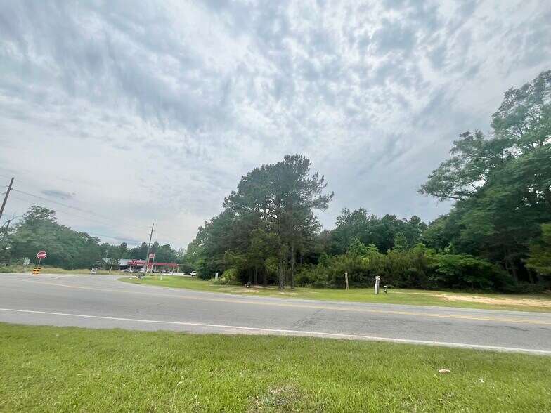 More Photos Of 23940 Co Rd 47 Rd, Perdido Land For Sale