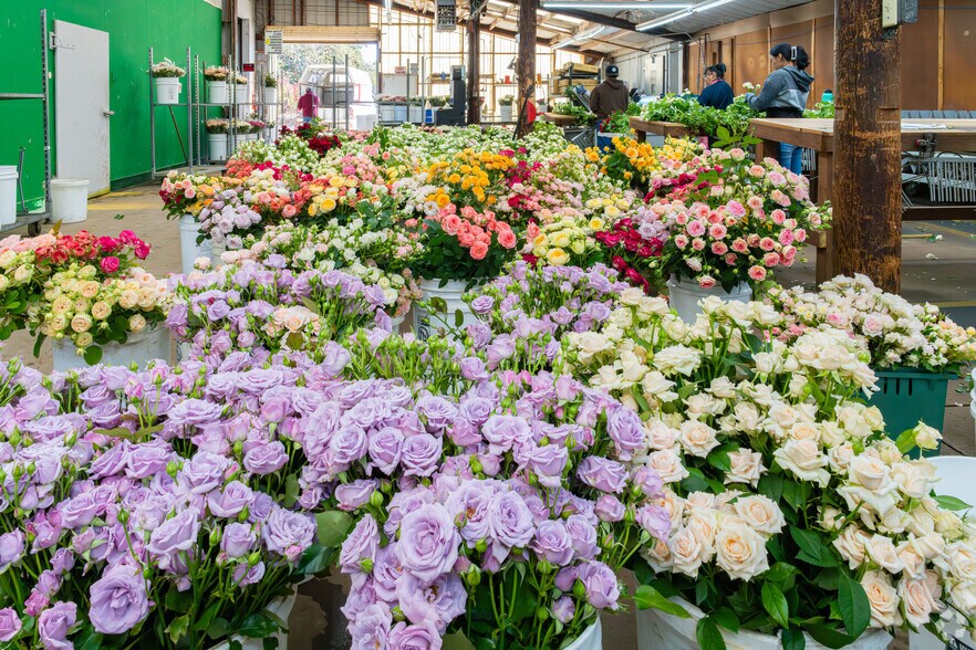 More Photos Of 885 Mesa Rd, Nipomo Industrial For Sale