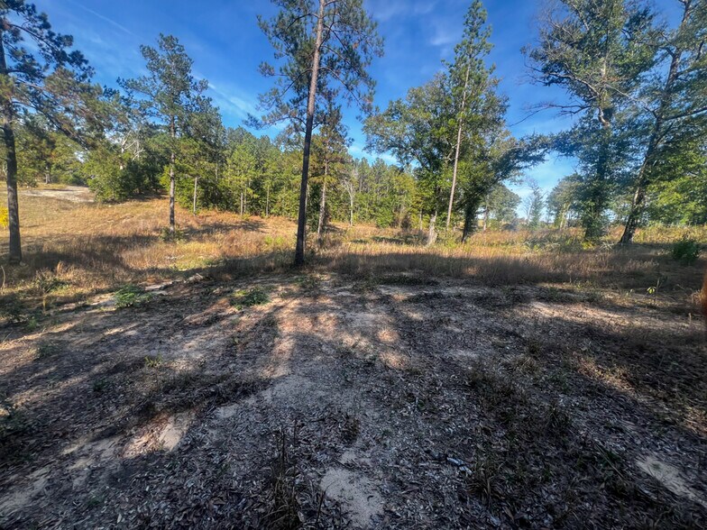 More Photos Of 0 Highway 198, Lucedale Land For Sale