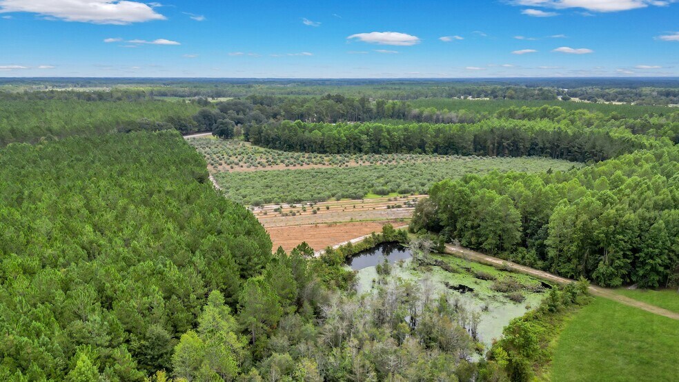 More Photos Of 2437 GA Highway 121, Glennville Land For Sale