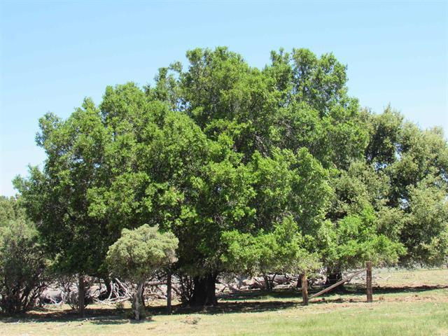 More Photos Of McCain Valley R McCain Valley rd, Boulevard Land For Sale