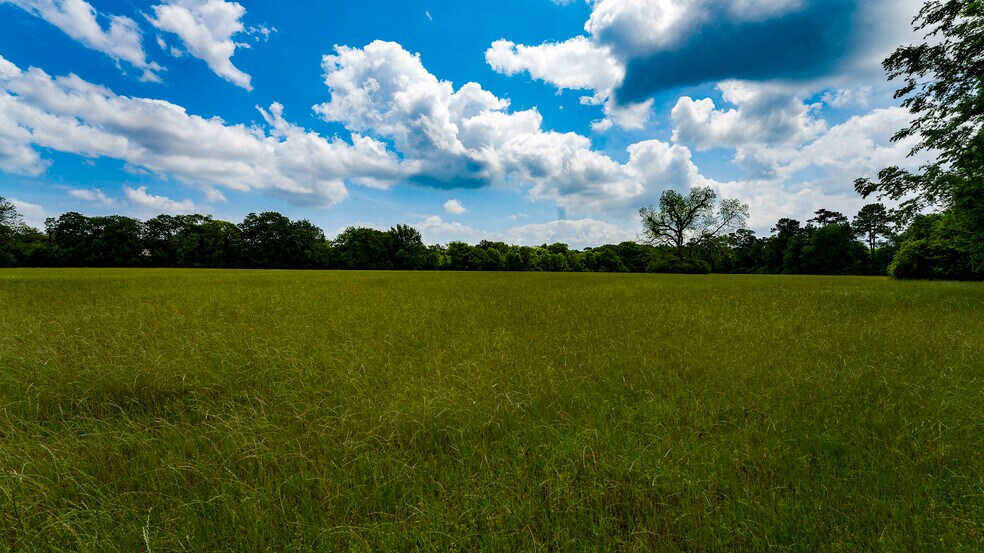 More Photos Of 000 Farm to Market Road 1488, Magnolia Land For Sale