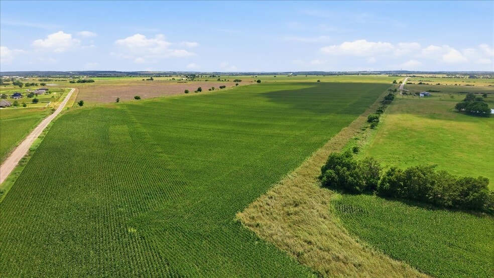 More Photos Of County Road 319, Granger Land For Sale