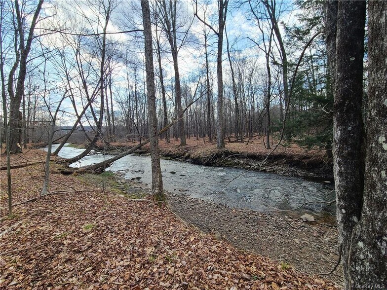 More Photos Of Rt. 52, White Sulphur Springs Land For Sale