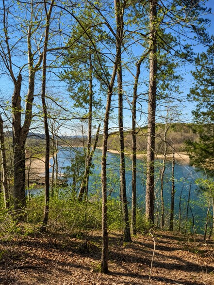 More Photos Of 333 Laurel Mountain Dr, Toccoa Land For Sale