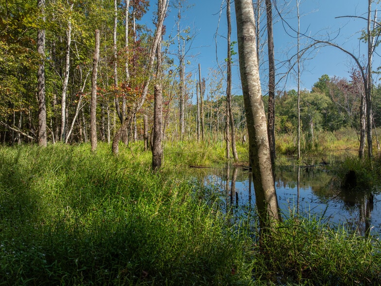 More Photos Of 00 Nash Mill Extension rd, Fountain Inn Land For Sale
