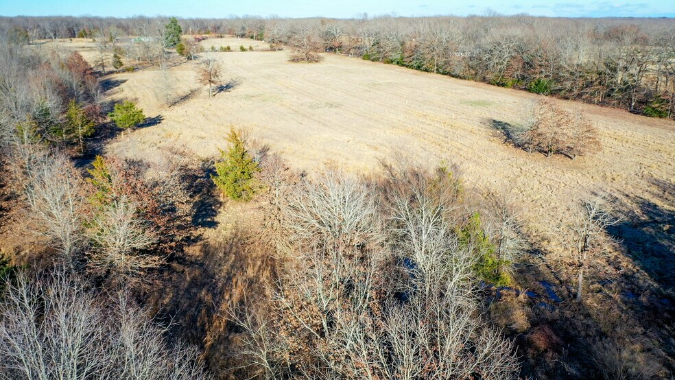 More Photos Of 1200 County 1255 rd, Detroit Land For Sale
