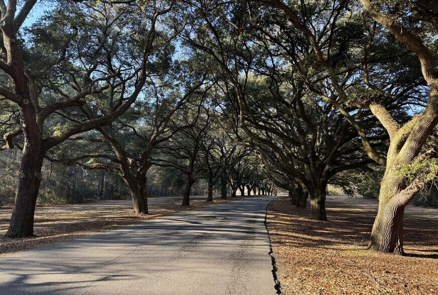 More Photos Of Rowesville Rd, Orangeburg Land For Sale
