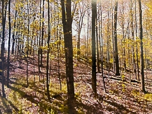 Primary Photo Of 120 Forest Dr, Hyde Park Land For Sale