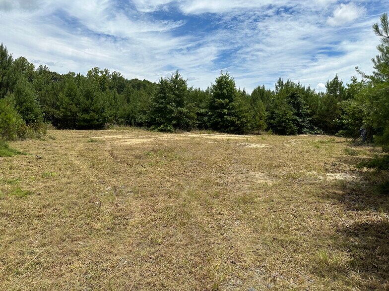 More Photos Of 22361 US Route 1 Hwy, Ruther Glen Land For Sale