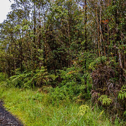 More Photos Of Mauna Loa Dr, Volcano Land For Sale