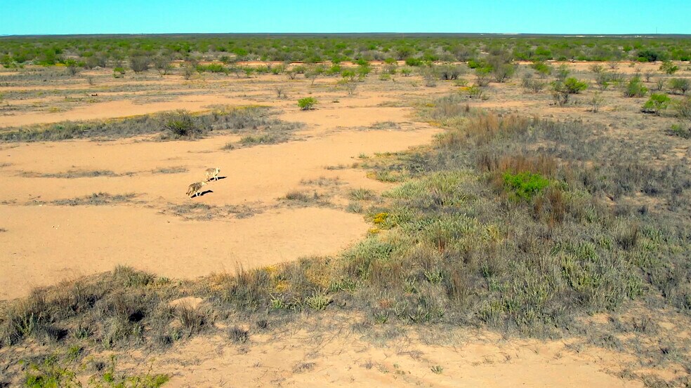 More Photos Of County Road 124, Verhalen Land For Sale