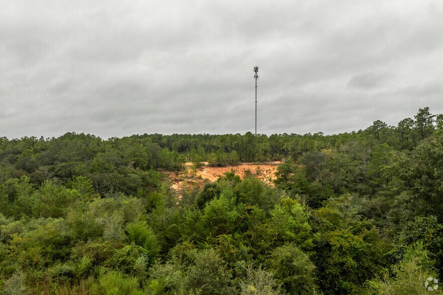 More Photos Of , Defuniak Springs Land For Sale