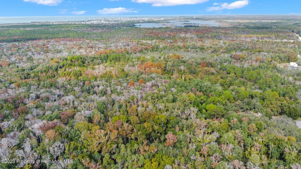 More Photos Of 0 Algood Rd, Spring Hill Land For Sale
