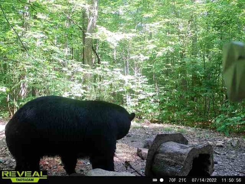 More Photos Of Fisher Road, Iola Land For Sale