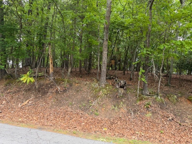 More Photos Of 357 Linwood dr, Gainesville Land For Sale