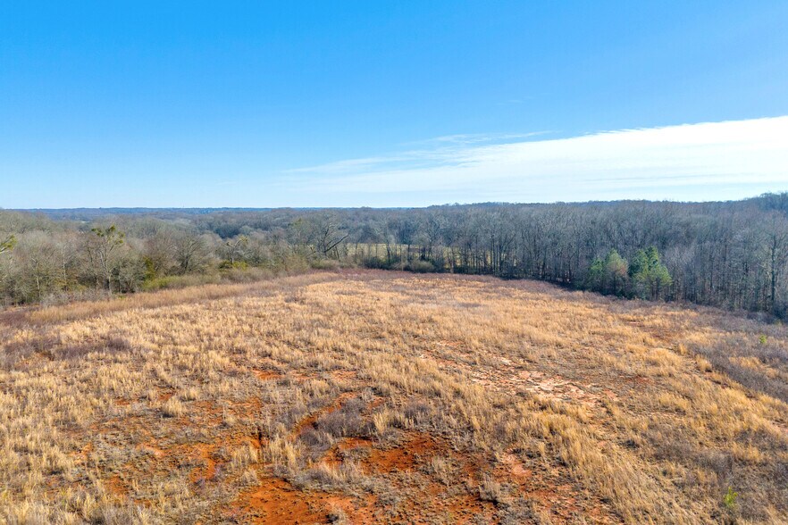 More Photos Of 00 Bill Little Pky, Carnesville Land For Sale