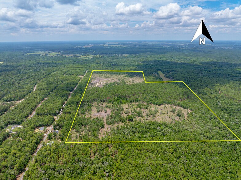 More Photos Of 1650 Withlacoochee Trl, Dunnellon Land For Sale