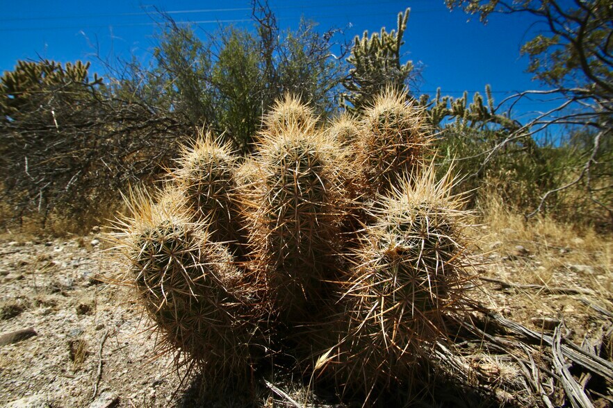 More Photos Of 0 Pioneer Rd, Morongo Valley Land For Sale