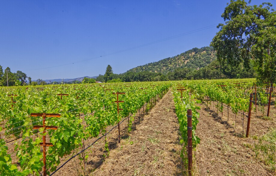 More Photos Of 6160 St Helena hwy, Napa Land For Sale