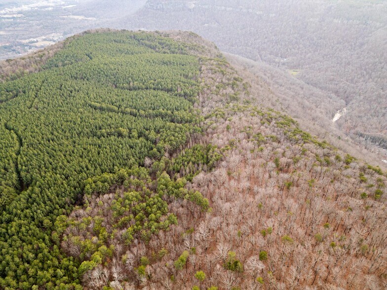 More Photos Of 762 Smith Mountain Rd, Dunlap Land For Sale