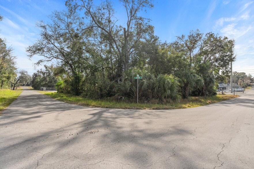 More Photos Of 3413 E Gulf To Lake Hwy, Inverness Land For Sale
