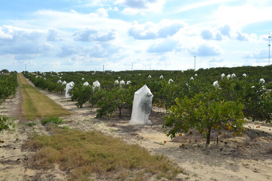 More Photos Of Scenic Highway, Babson Park Land For Sale