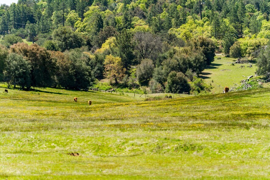 More Photos Of 3510 Deer Lake Park Road, Julian, CA 92036, USA -1, Julian Land For Sale