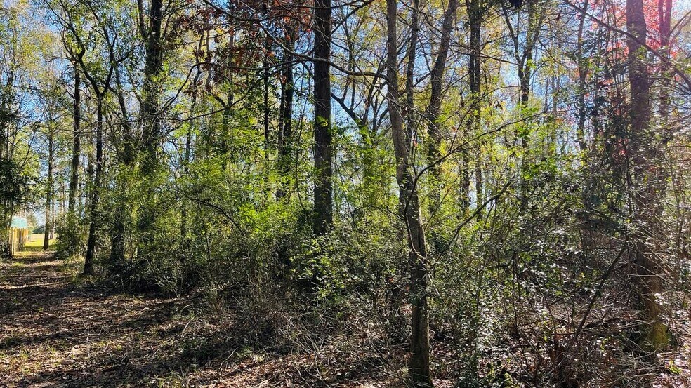 More Photos Of 4106 Hwy 69 S Hwy, Lumberton Land For Sale