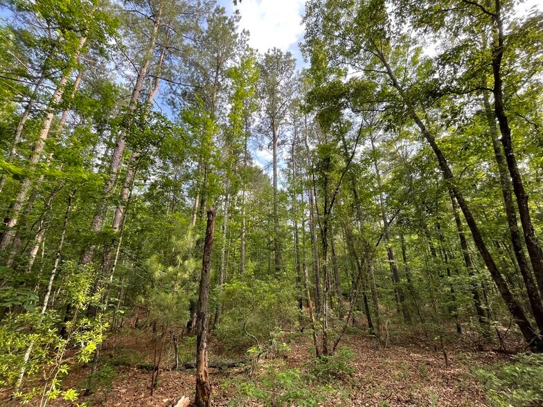 More Photos Of 229 Colbert Bridge Road, Windsor Land For Sale