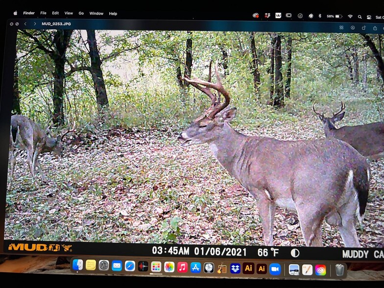 More Photos Of TBD N 4250 Road, Grant Land For Sale