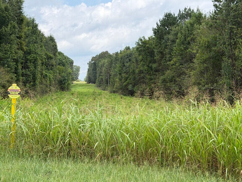 More Photos Of 65 National Dr, Anniston Land For Sale