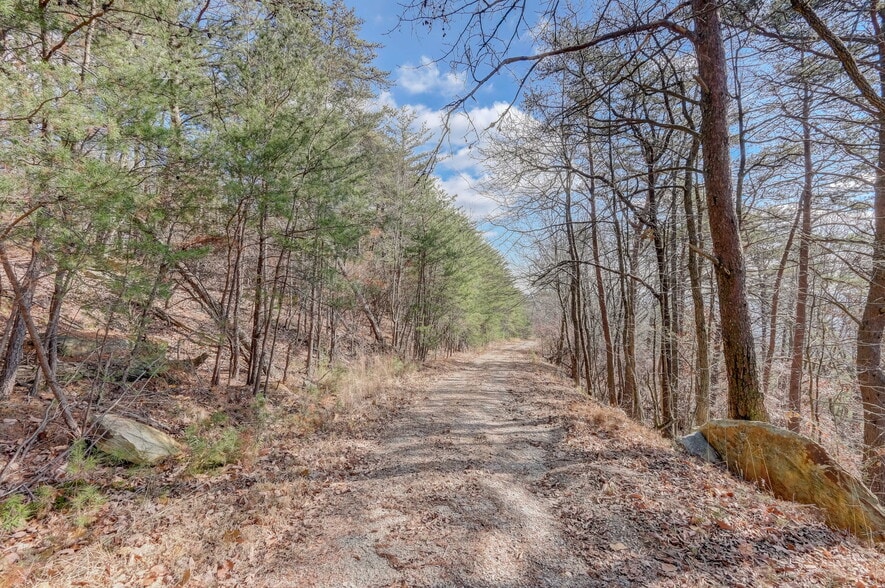 More Photos Of 1915 Tower Trl, Waleska Land For Sale