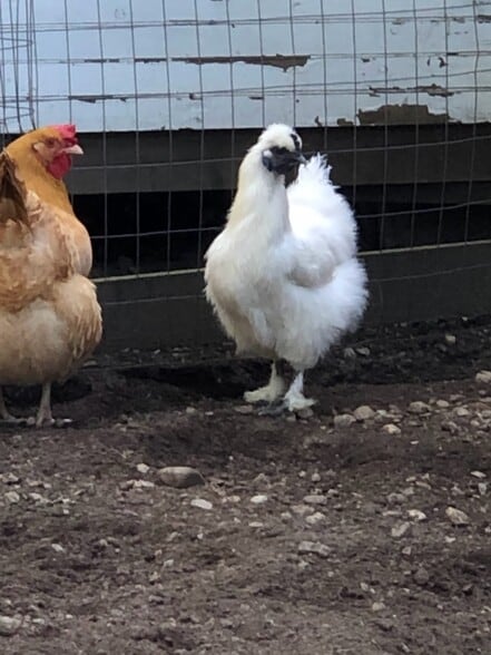 More Photos Of 399 Depot St, Proctorsville Hospitality For Sale