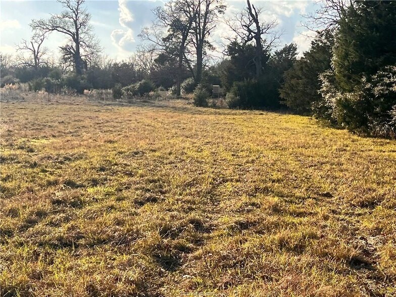 More Photos Of Fm-1469, Marquez Land For Sale