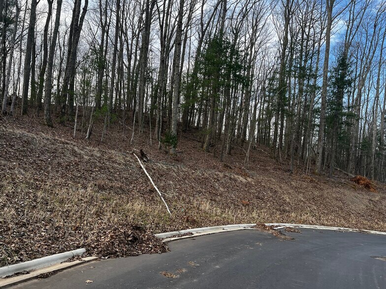 More Photos Of 105 Woodland Meadows Dr, Asheville Land For Sale