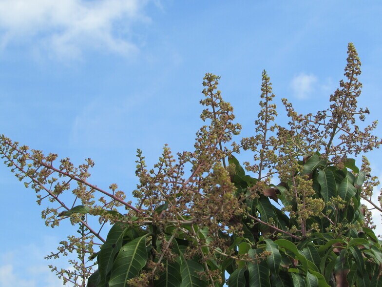 More Photos Of 9000 Stringfellow Rd, Saint James City Land For Sale