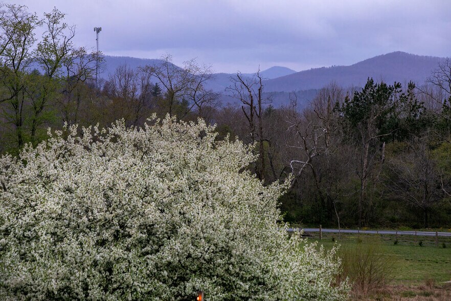 More Photos Of , Pisgah Forest Unknown For Sale